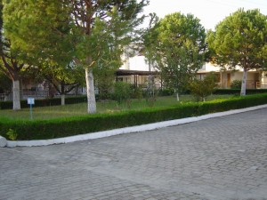 DSC05950