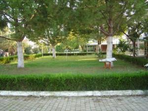 DSC05951