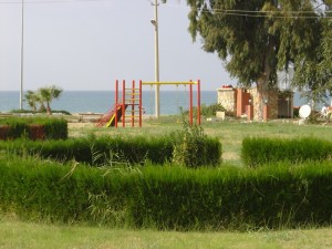 DSC05954