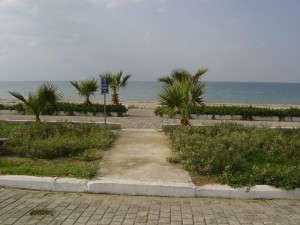 DSC05955
