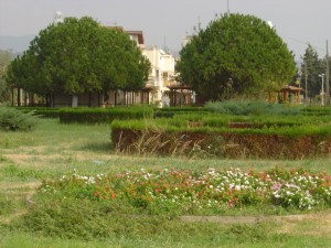 DSC05956