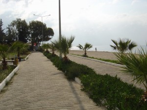 DSC05959