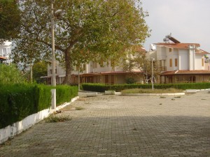 DSC05960