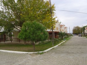 DSC05964