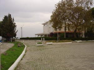 DSC05966