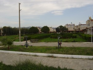 DSC05968