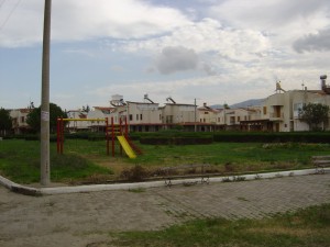 DSC05969