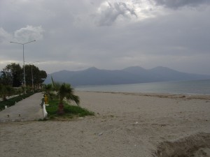 DSC05970
