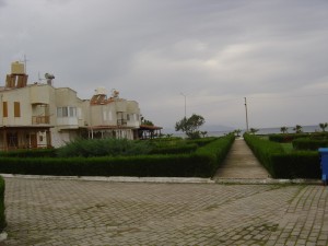 DSC05975